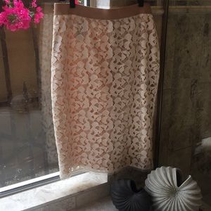 Gorgeous Lace and Silk Lined Pencil Skirt